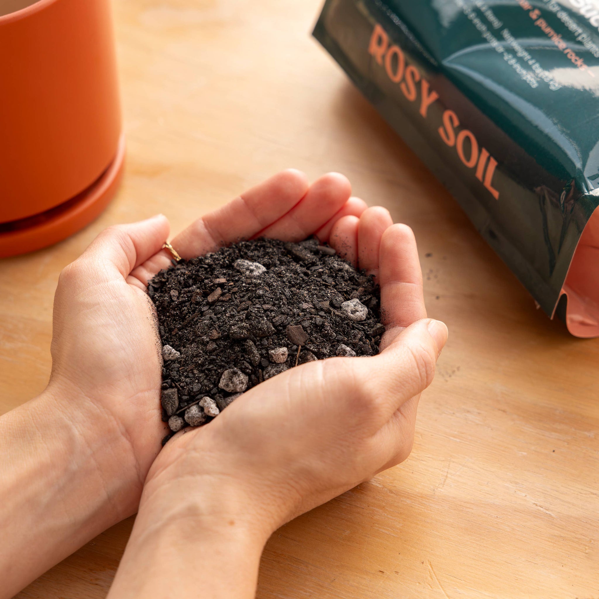 potting mix coles 4qt Organic Cactus & Succulent Mix – Coles Plants