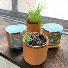 Load image into Gallery viewer, Tiny Terracotta Pet Grow Kits: Good Dog Greens
