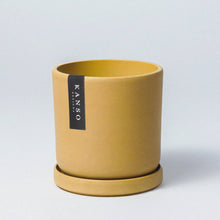 Load image into Gallery viewer, 7" Mustard Seed &amp; Dusted Clay Planters &amp; Saucers : Mustard Seed / 7" Only
