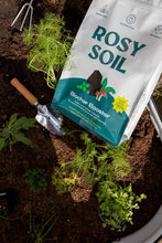 Load image into Gallery viewer, 8qt Biochar Booster
