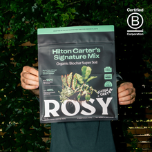 Load image into Gallery viewer, 4qt Hilton Carter's Signature Potting Mix
