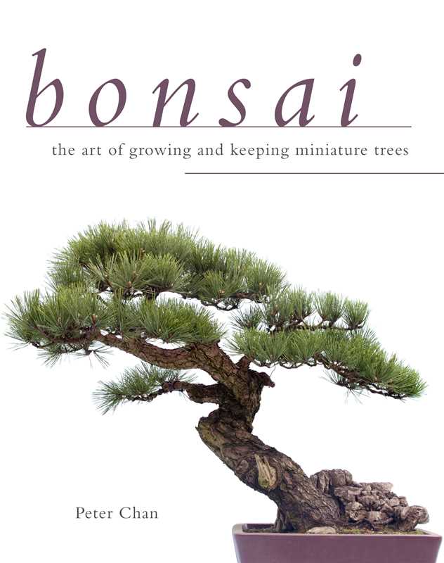 Bonsai by Peter Chan: Paperback; 176 pages / English