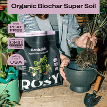 Load image into Gallery viewer, 4qt Organic Aroid Mix for Indoor Plants
