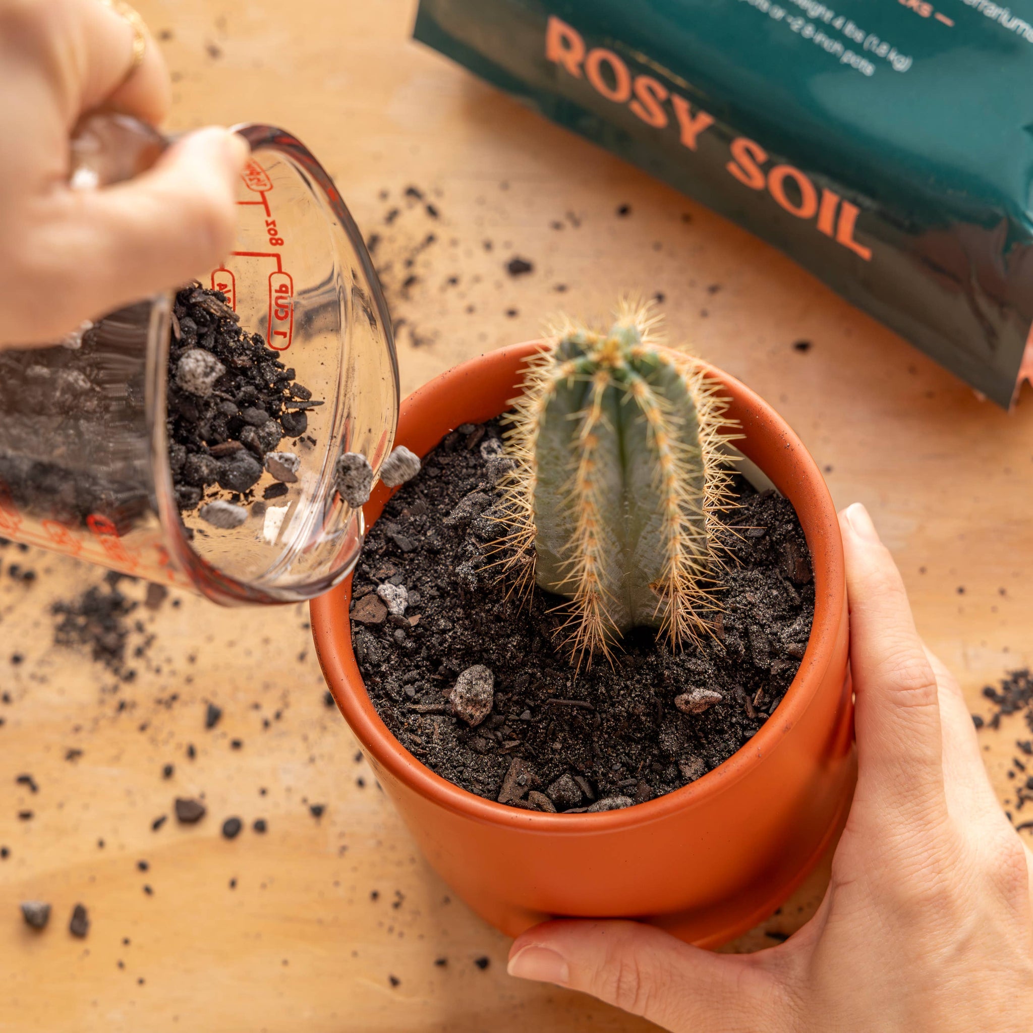 potting mix coles 4qt Organic Cactus & Succulent Mix – Coles Plants