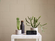 Load image into Gallery viewer, BOTANY porcelain plant pot MEDIUM: Graphite Black
