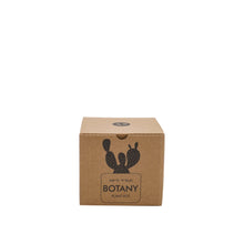 Load image into Gallery viewer, BOTANY porcelain Plant Pot SMALL: Graphite Black
