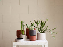 Load image into Gallery viewer, BOTANY porcelain plant pot LARGE: Concrete Grey
