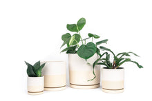 Load image into Gallery viewer, 4.5&quot; Gemstone Cylinder Pots with Water Saucers: White
