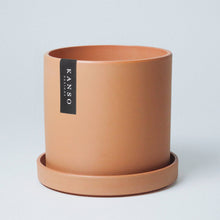 Load image into Gallery viewer, 7" Mustard Seed &amp; Dusted Clay Planters &amp; Saucers : Mustard Seed / 7" Only
