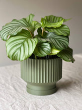 Load image into Gallery viewer, Lightweight Planter Pot | Olive Green| \ 4 / With Drip Tray
