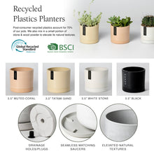 Load image into Gallery viewer, 3.5&quot; Earth Tone Mini Planters | 4 Colorways: White Stone
