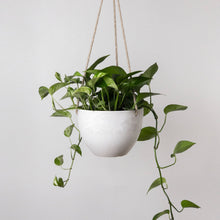 Load image into Gallery viewer, 8" | 12" Signature Stone Hanging Planter Pot | 4 Colorways: Black / 8 inch
