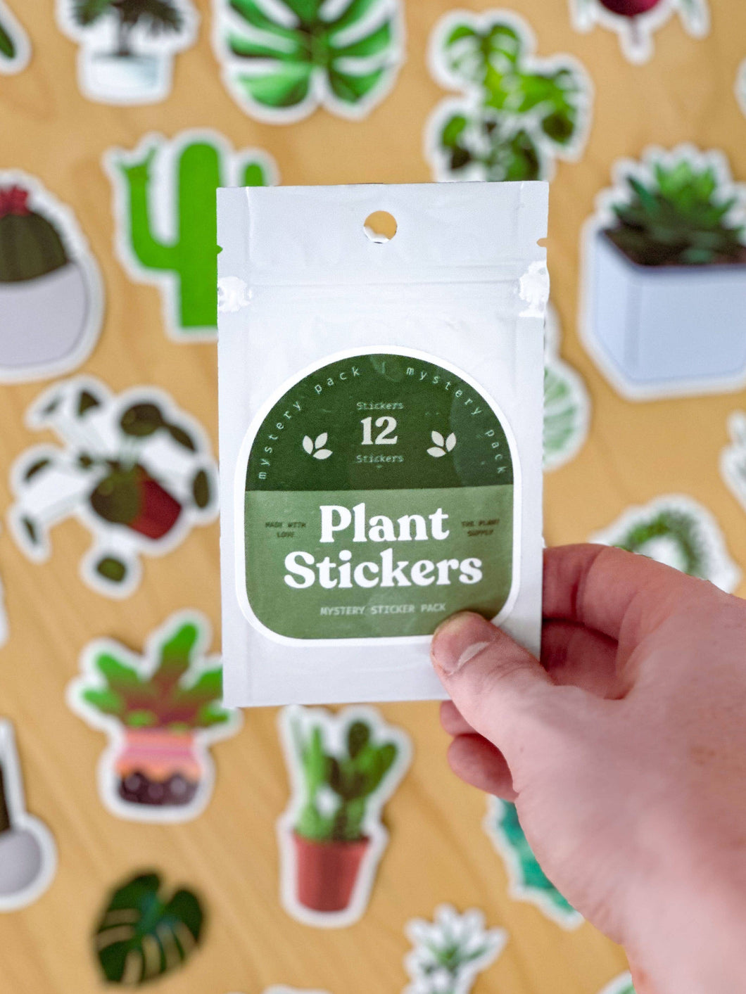 Plant Sticker Pack | Houseplant Sticker Mystery Pack
