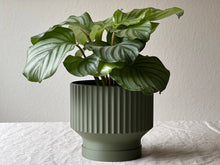 Load image into Gallery viewer, Lightweight Planter Pot | Olive Green| \ 4 / With Drip Tray
